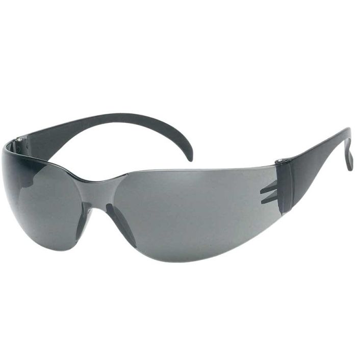 Liberty 1715Q/G F-I iNOX Economy Safety Glasses - Gray Frame - Gray Lens 